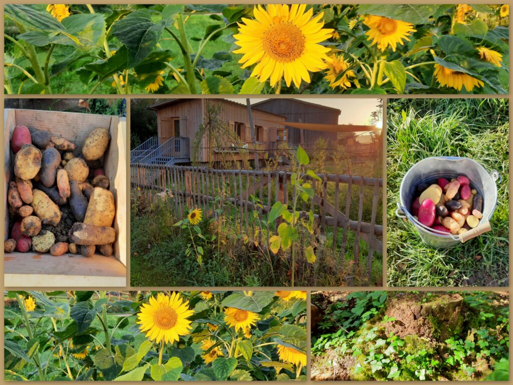Naturkindergarten am Bergwald